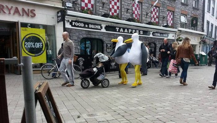 What Is Going On Here? (17 pics)