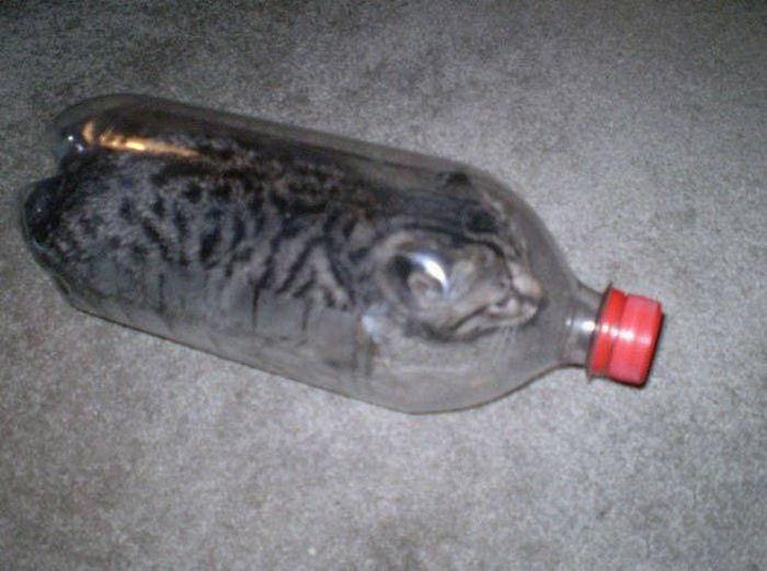 What Is Going On Here? (17 pics)