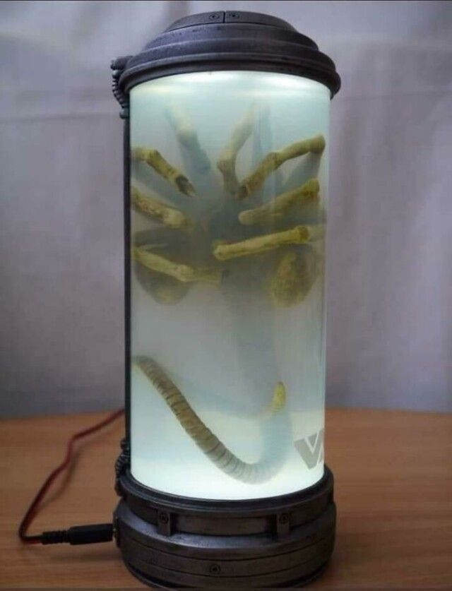 Scary Photos (20 pics)