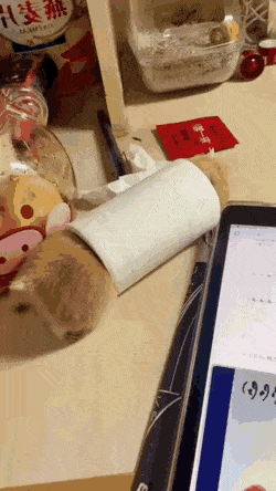 Acid GIFs, August 26 (25 gifs)