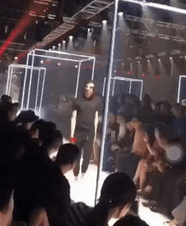 Acid GIFs, August 26 (25 gifs)