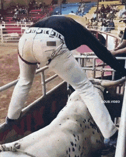 Acid GIFs, August 26 (25 gifs)