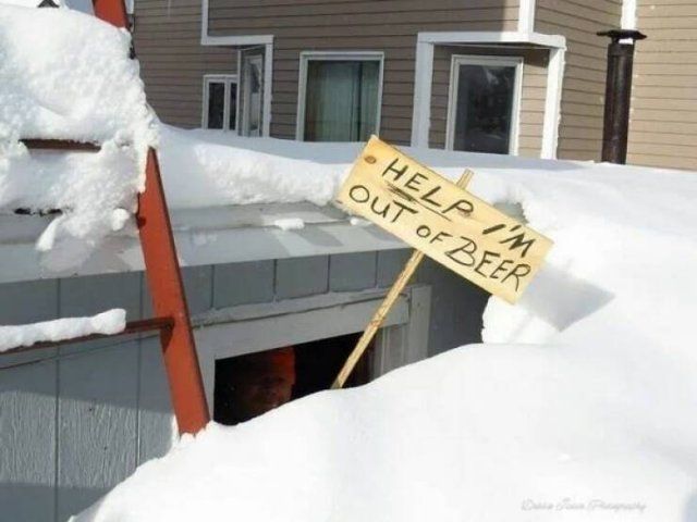 Jokes About Canada (40 pics)