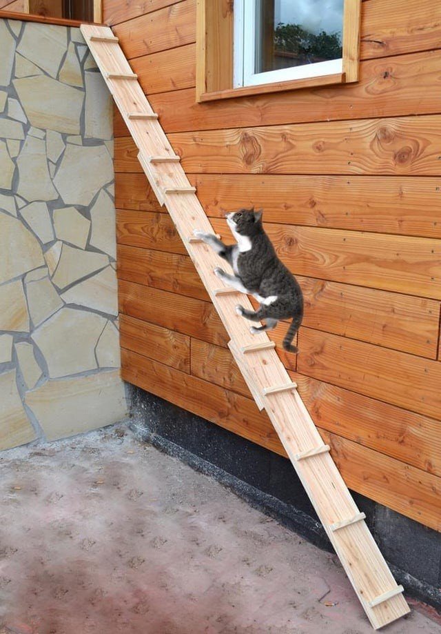 Photoshop Fails (14 pics)
