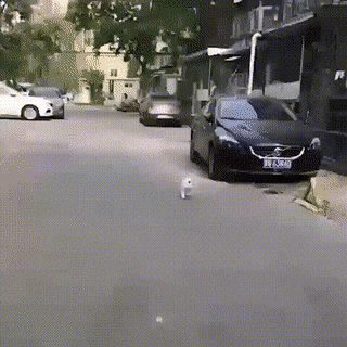 Acid GIFs, August 29 (25 gifs)