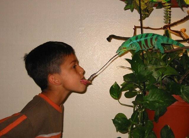 Strange Photos From Asian Countries (15 pics)