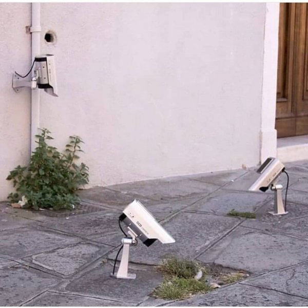 What Is Going On Here? (18 pics)