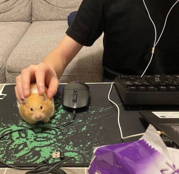 What Is Going On Here? (18 pics)
