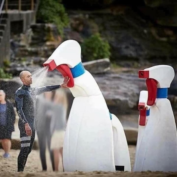 What Is Going On Here? (18 pics)