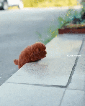 Acid GIFs, August 30 (25 gifs)