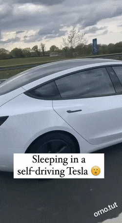 Acid GIFs, August 30 (25 gifs)