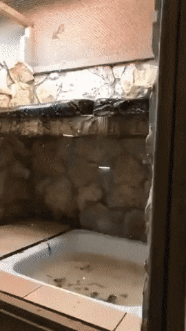 Acid GIFs, August 30 (25 gifs)