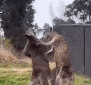 Acid GIFs, August 30 (25 gifs)
