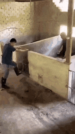 Acid GIFs, August 30 (25 gifs)
