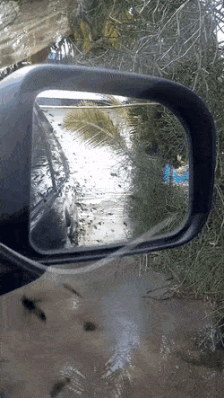 Acid GIFs, August 30 (25 gifs)