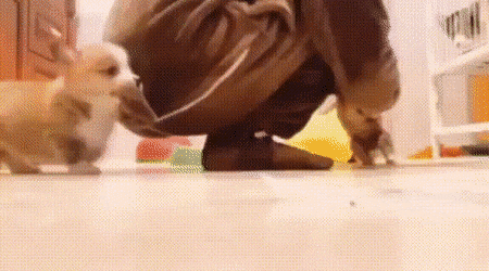 Acid GIFs, August 30 (25 gifs)