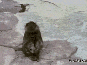 Acid GIFs, August 30 (25 gifs)