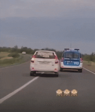 Acid GIFs, August 30 (25 gifs)