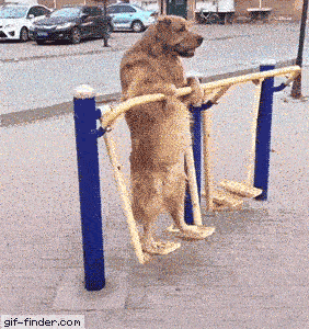 Acid GIFs, August 30 (25 gifs)