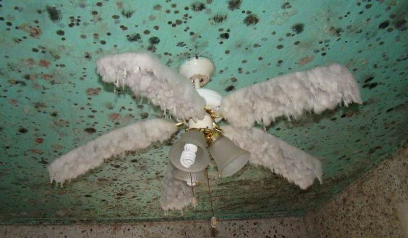 Scary Photos (15 pics)