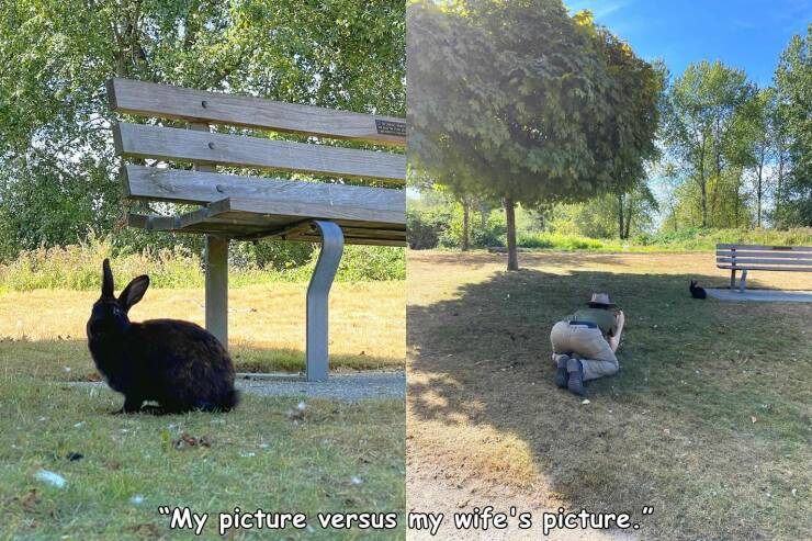 Daily Pictures. Part 1 (68 pics)