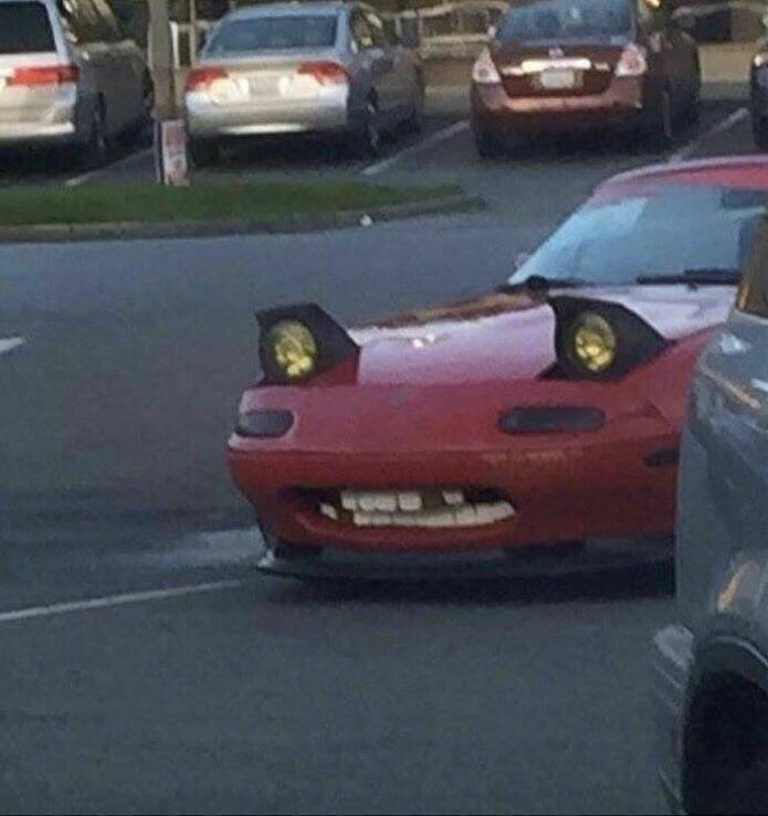 Daily Pictures. Part 1 (68 pics)