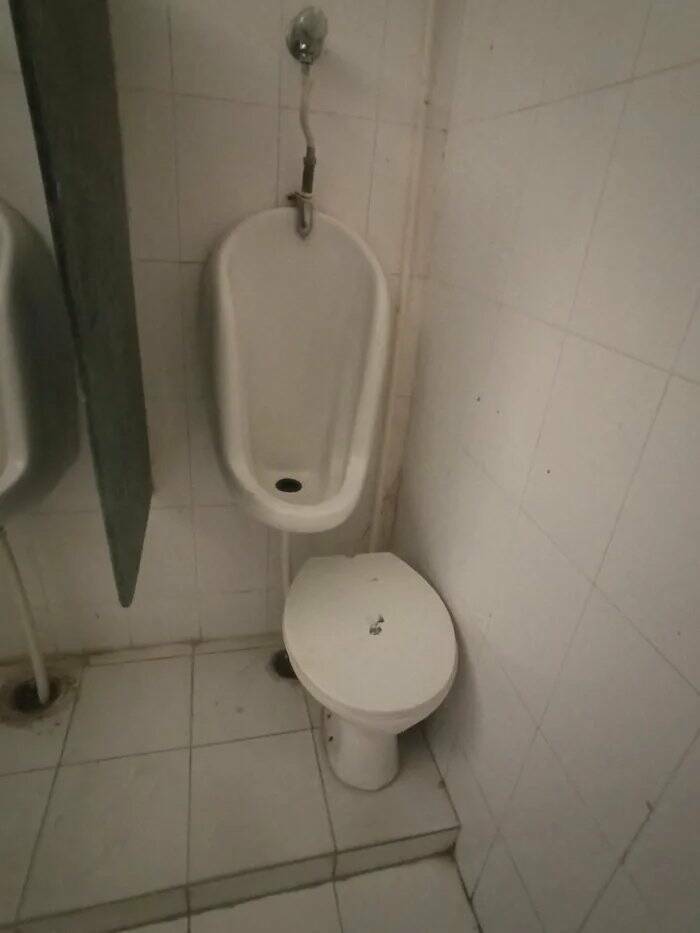 Daily Pictures. Part 2 (66 pics)