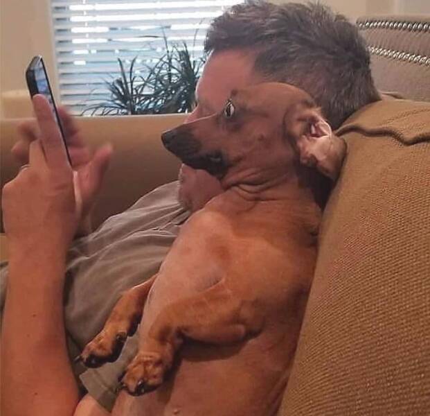 Daily Pictures. Part 2 (66 pics)