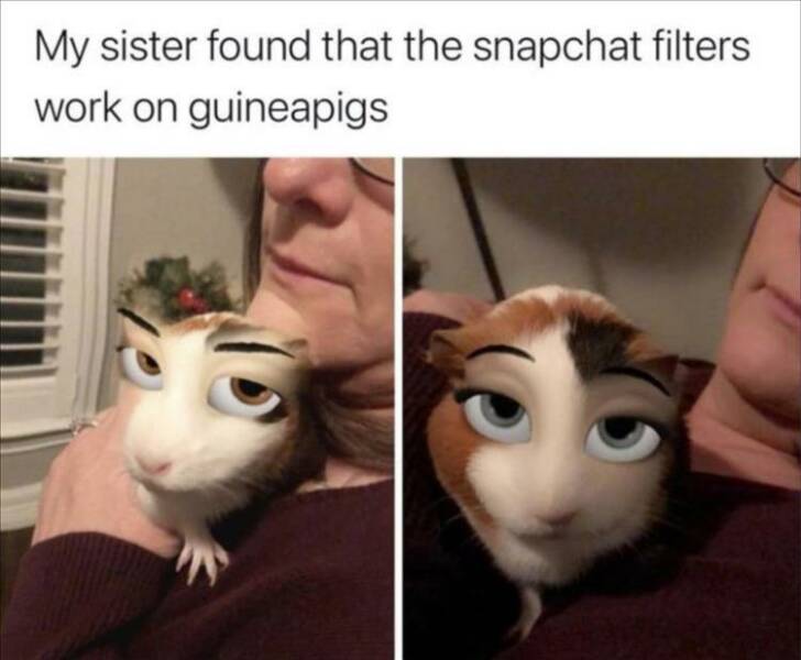 Daily Pictures. Part 2 (66 pics)