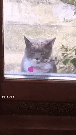Acid GIFs, August 31 (25 gifs)