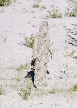 Acid GIFs, August 31 (25 gifs)
