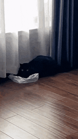 Acid GIFs, August 31 (25 gifs)