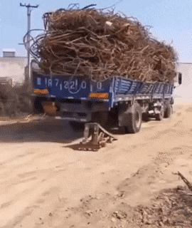 Acid GIFs, August 31 (25 gifs)