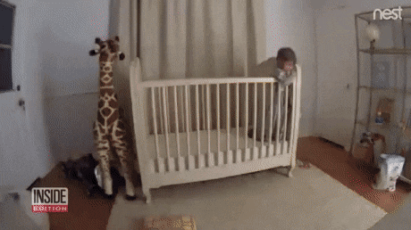 Acid GIFs, August 31 (25 gifs)