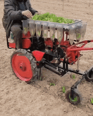 Acid GIFs, August 31 (25 gifs)