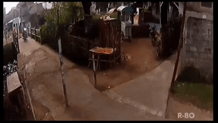 Acid GIFs, August 31 (25 gifs)