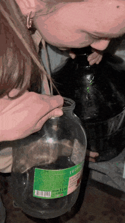 Acid GIFs, August 31 (25 gifs)