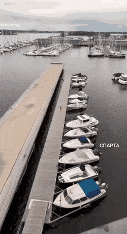 Acid GIFs, August 31 (25 gifs)