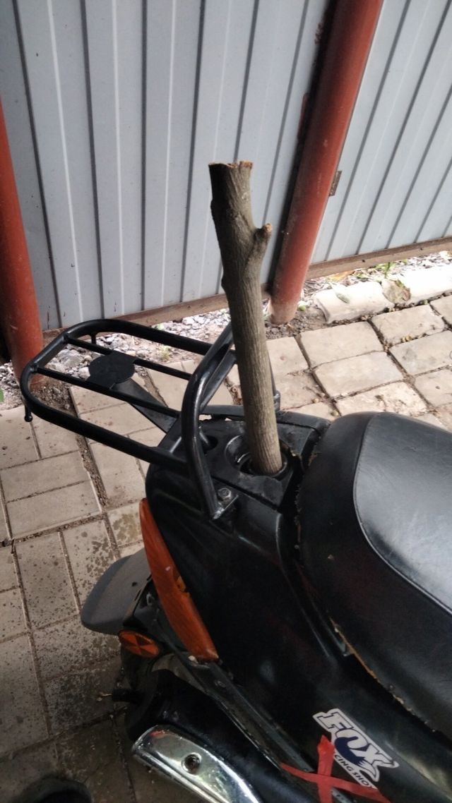 Weird Repair (15 pics)