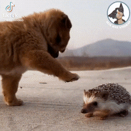 Acid GIFs, September 1 (25 gifs)