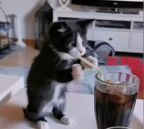 Acid GIFs, September 1 (25 gifs)