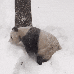 Acid GIFs, September 1 (25 gifs)
