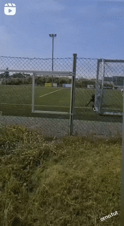 Acid GIFs, September 1 (25 gifs)