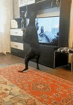 Acid GIFs, September 1 (25 gifs)