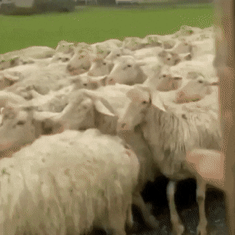 Acid GIFs, September 1 (25 gifs)