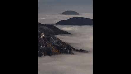 Acid GIFs, September 1 (25 gifs)