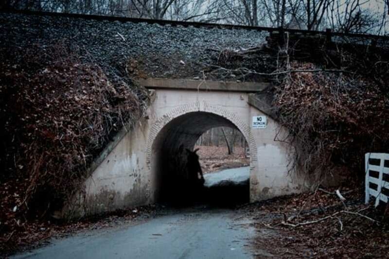 Creepy Photos (20 pics)