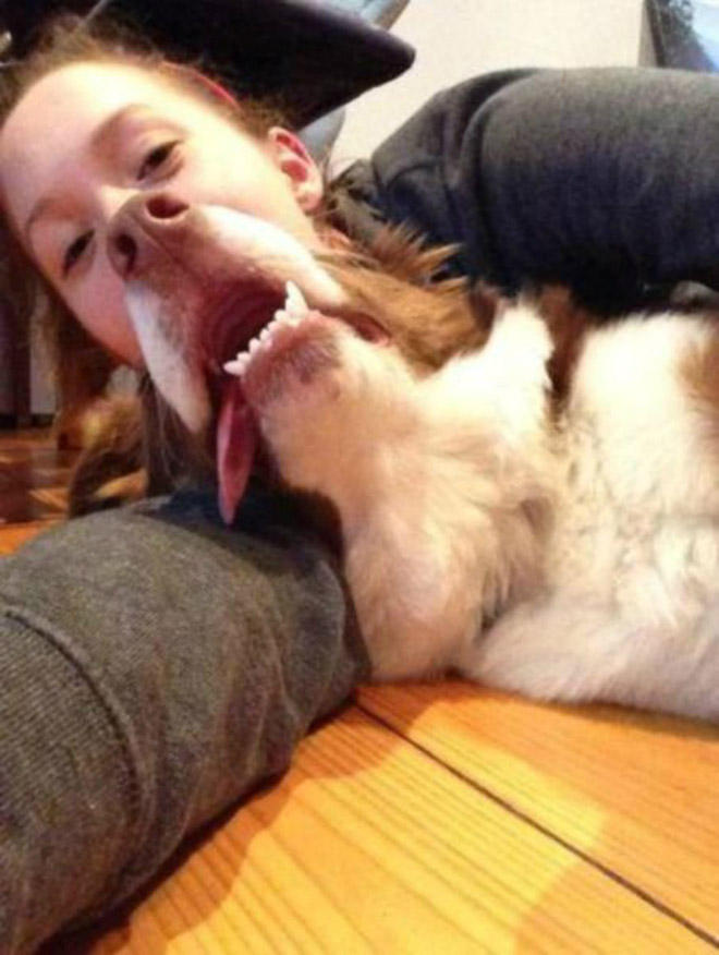 Right Moment (15 pics)