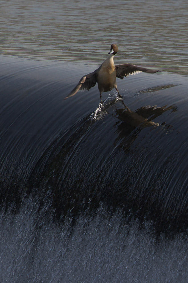 Right Moment (15 pics)