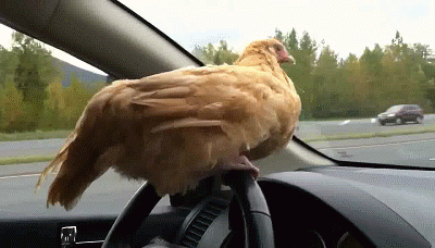 Acid GIFs, September 2 (25 gifs)